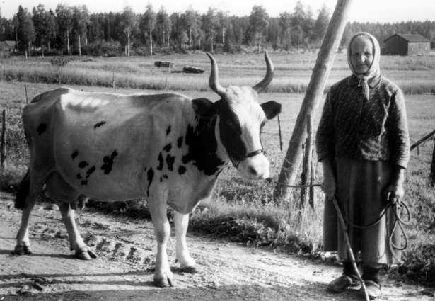 084 P581 Helena Mellanen Irja mormor Finland